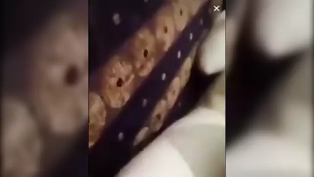 Azerbaycanlı sevgililerle Agdasha'da seks yapıyor.